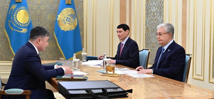 Президент принял председателя Национального банка Тимура Сулейменова