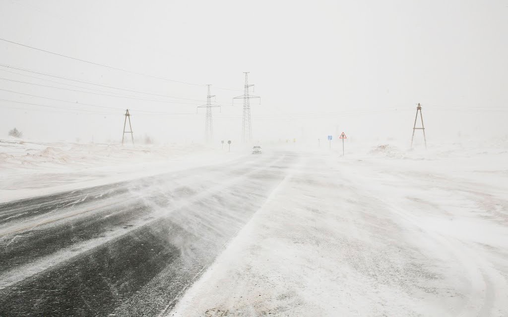 За 8 дней из снежного плена было спасено 29 детей.