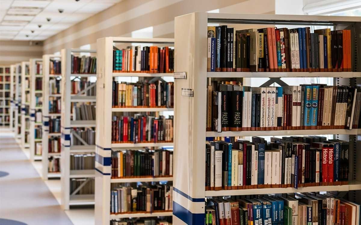 Издательское дело, театры и библиотеки, музеи и ремесленничество должны быть освобождены от налогов.