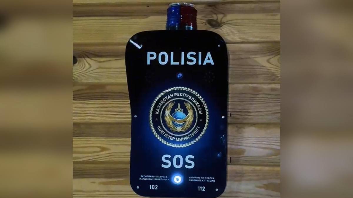 В Шымкенте запущены кнопки "SOS"