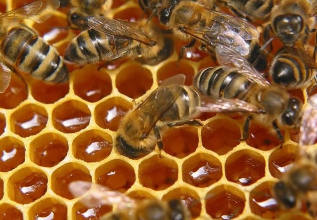 Отечественная продукция экспортируется более чем в 15 стран.