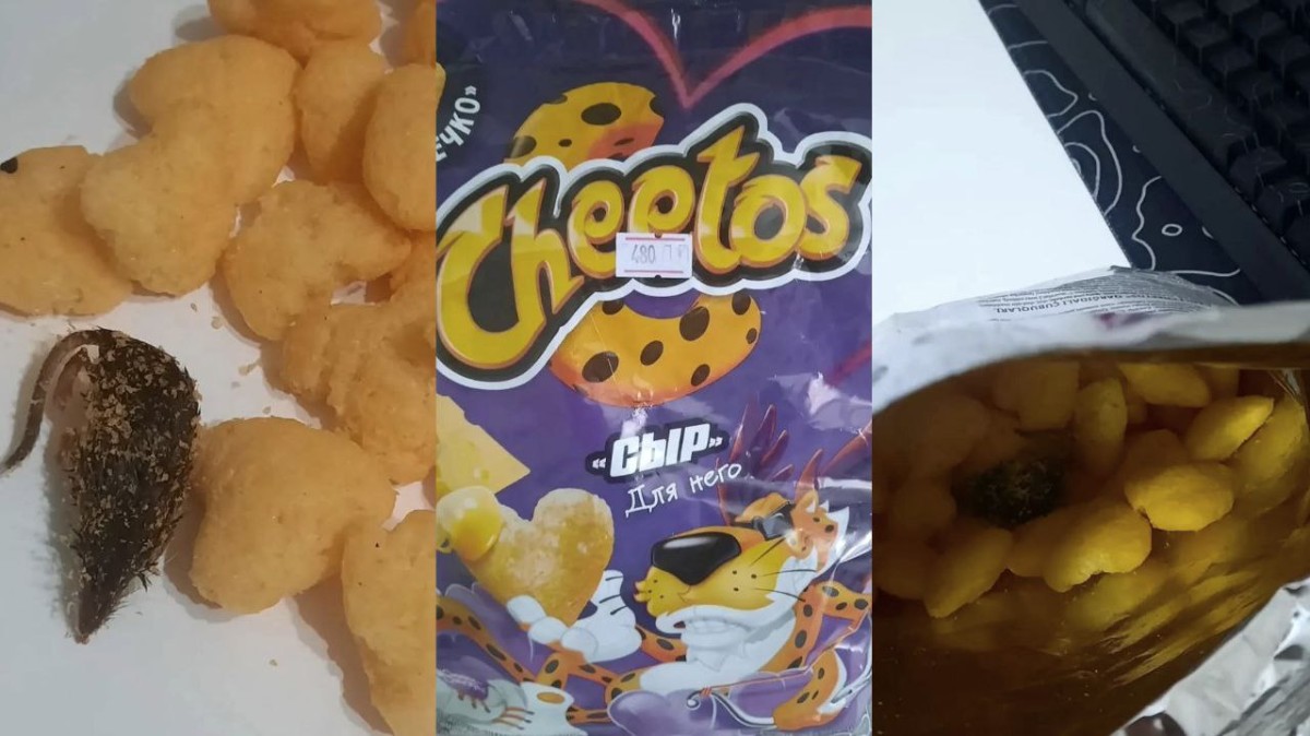 В Астане в упаковке "Cheetos" нашли мышь