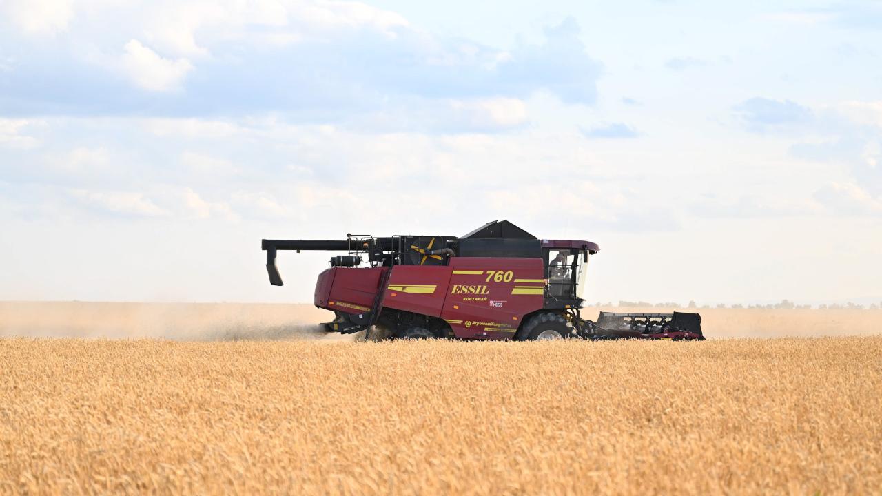 В 2024 году в Казахстане собрали рекордные 26,7 млн тонн зерна.