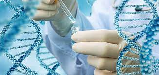 Разрешено ли по шариату определять родство с помощью ДНК?