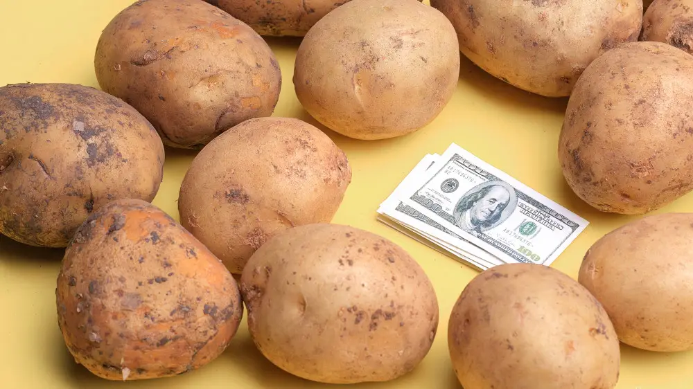 В Казахстане подорожал картофель: что говорит правительство?