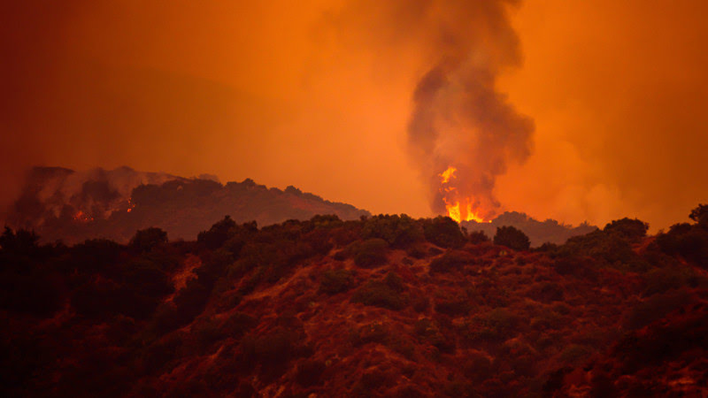 Подозреваемый задержан по делу о пожарах в Лос-Анджелесе