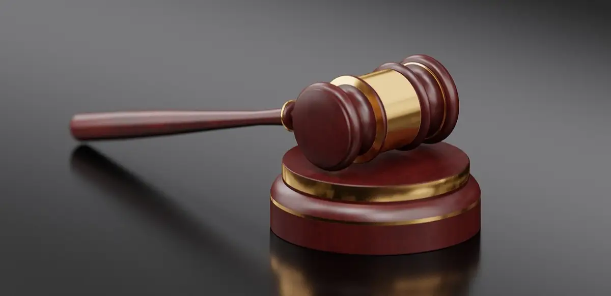 В СКО блогеры приговорены к 7 годам лишения свободы