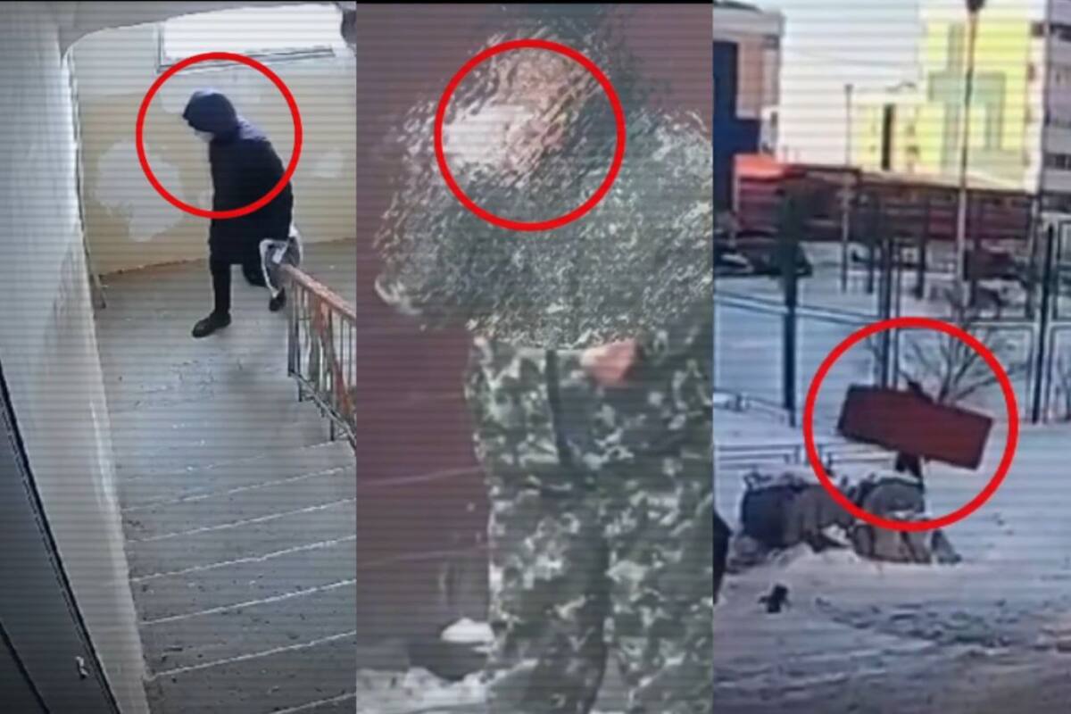 МВД показало нарушителей, попавших на видеокамеру