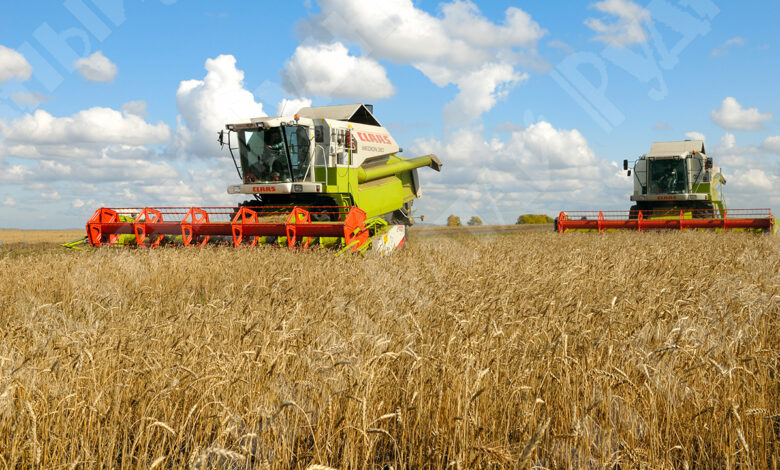 На поддержку фермеров выделено более 116 млрд тенге