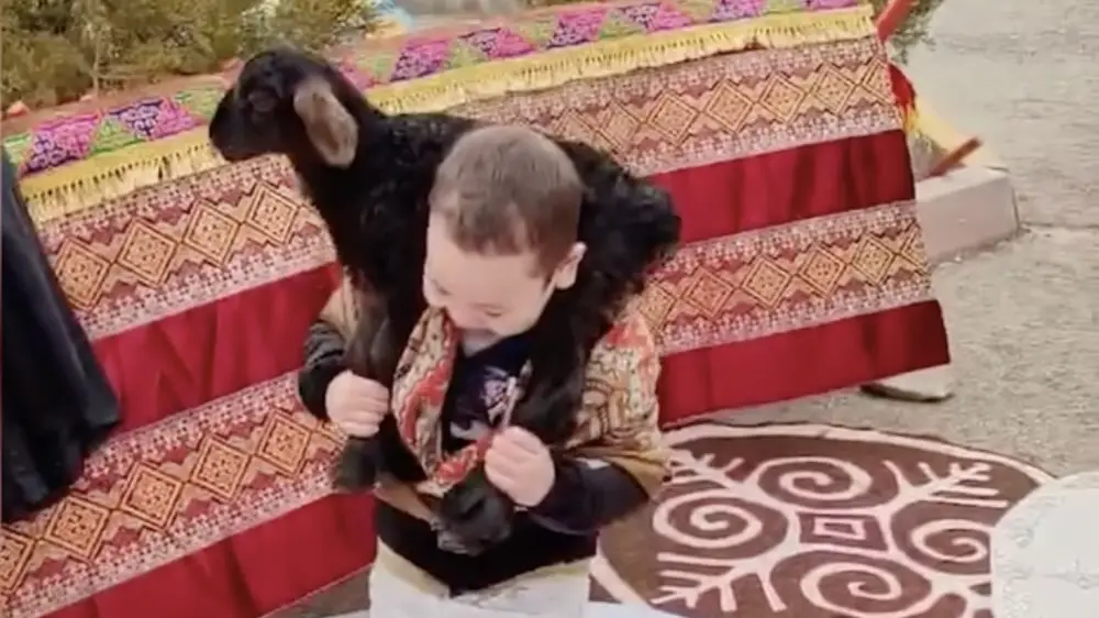 В праздник Наурыз малыш с ягненком на руках покорил всех.