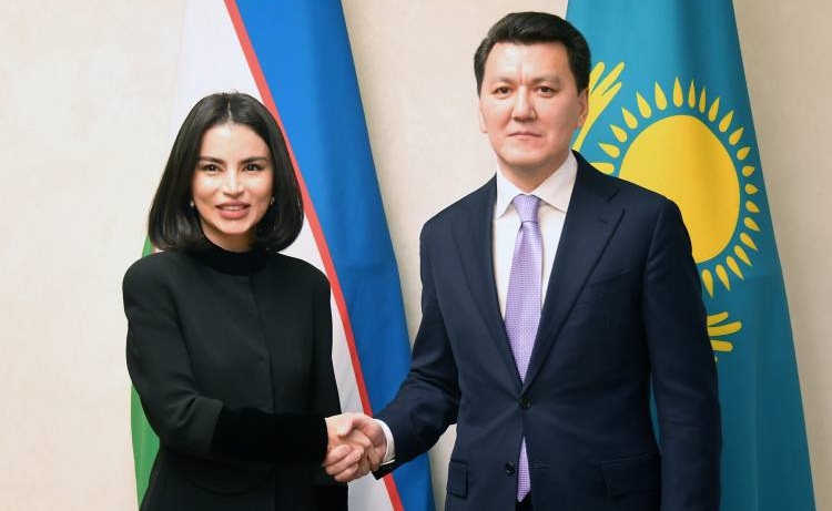 Государственный советник Ерлан Карин встретился с помощником Президента Республики Узбекистан Саидой Мирзиёевой.