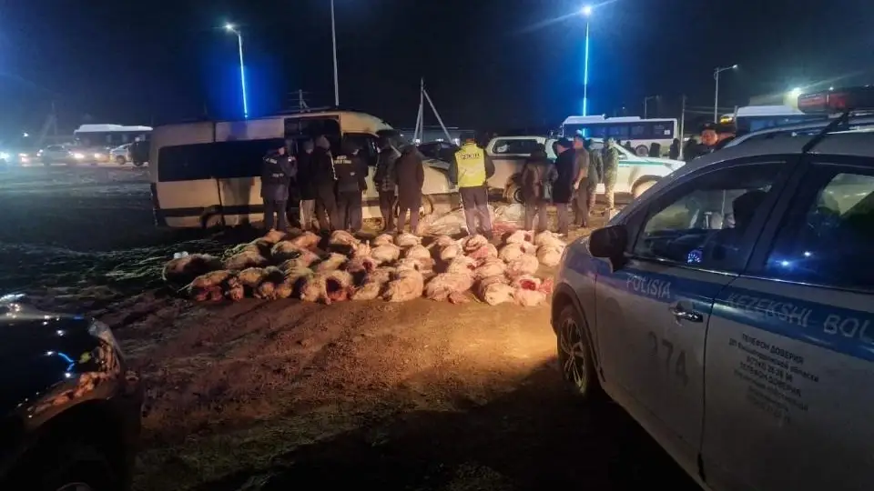 В Кызылорде задержаны браконьеры