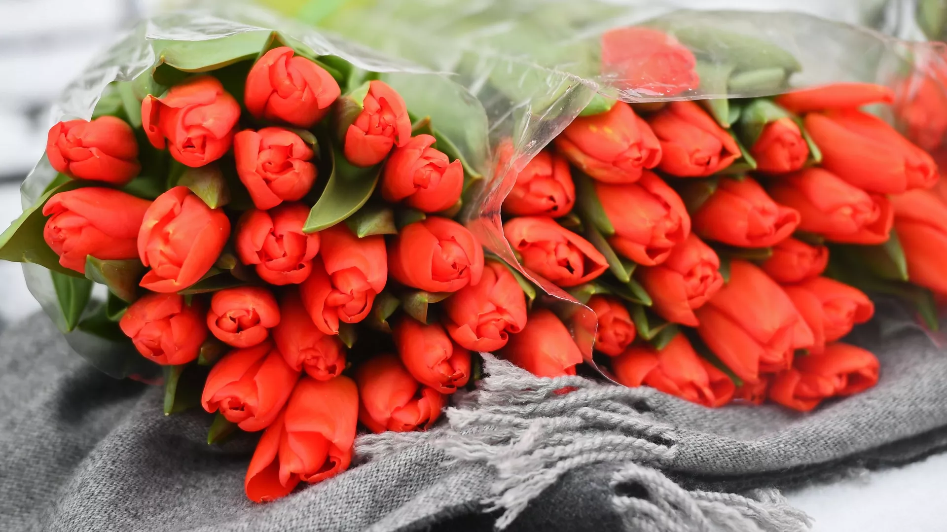 8 Марта: из-за рубежа в 1,5 раза больше цветов привезено