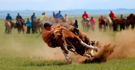 Обучение дикой лошади – это наука, воспитание, характер.