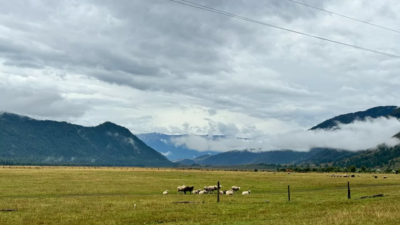 Ожидается мороз до 3 градусов: какой прогноз погоды на сегодня