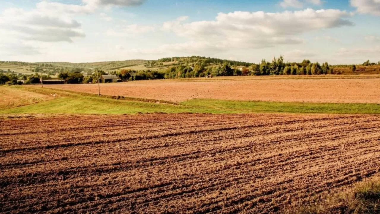 1200 гектаров земли возвращены государству