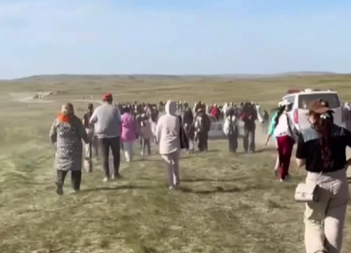 Праздник тюльпанов в Жамбыле вызвал недовольство общественности