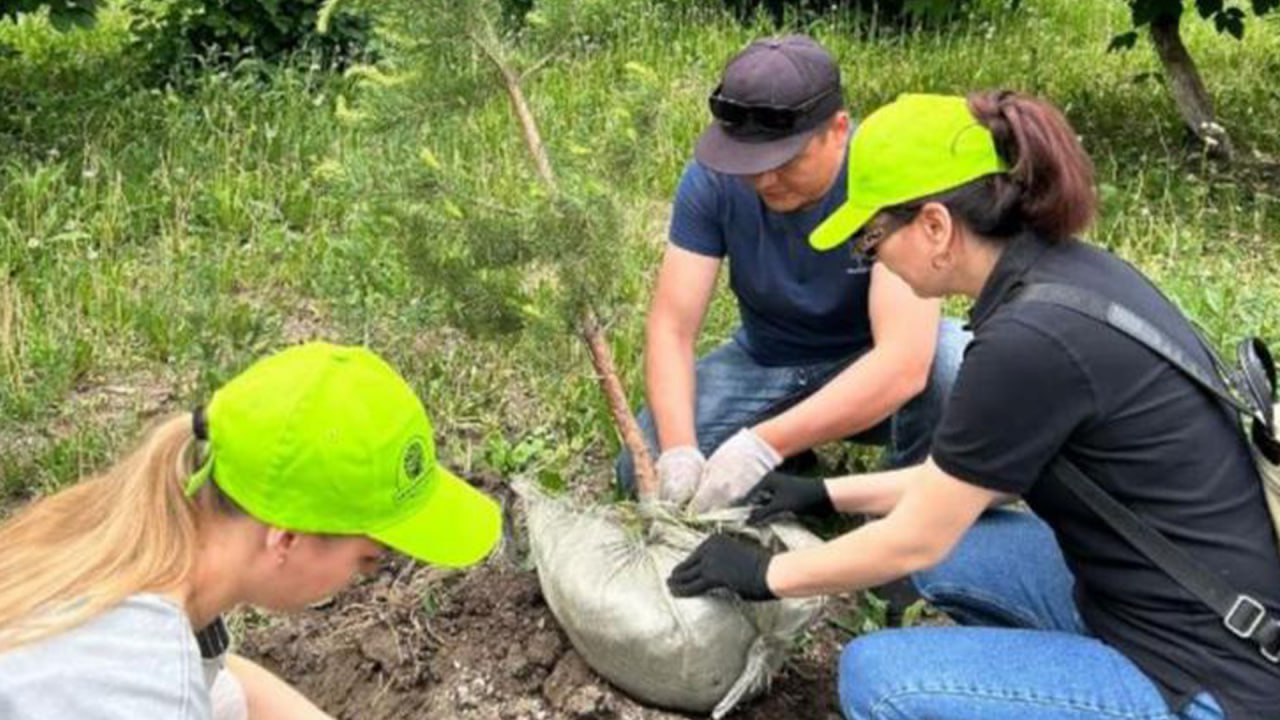 Инициатива Президента «Чистый Казахстан»: миллионы граждан присоединились к масштабной экологической работе