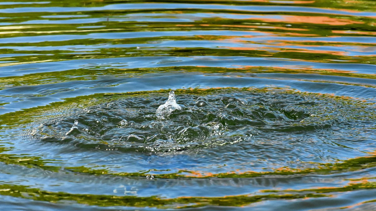 В Казахстане вступил в силу новый Водный кодекс