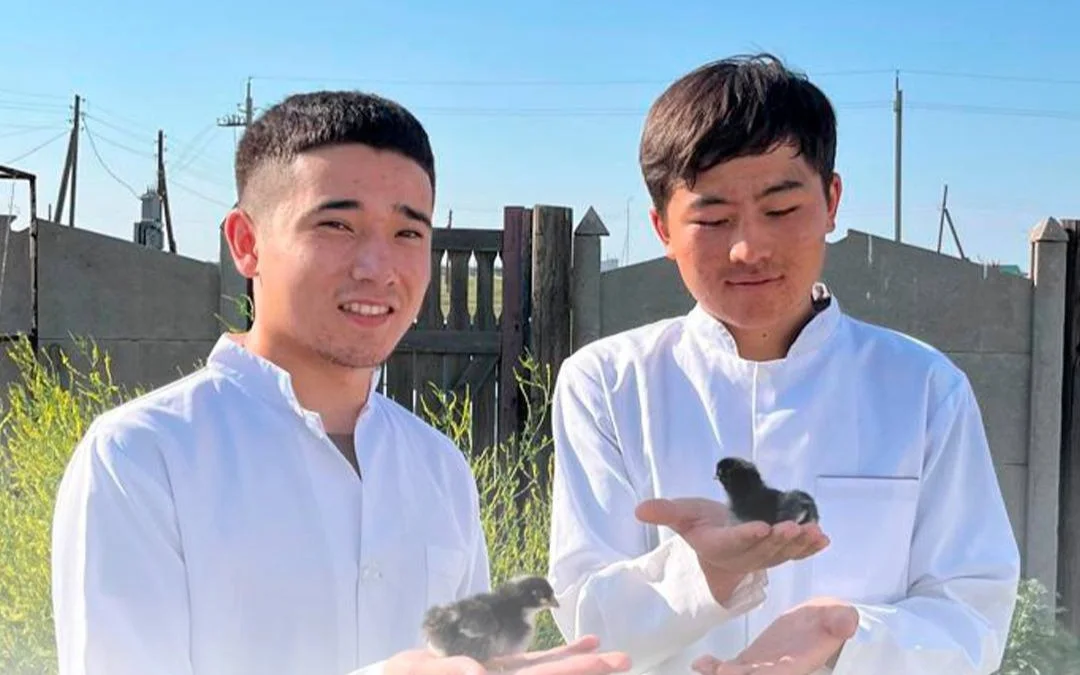 Павлодарские студенты вырастили более 30 редких видов птиц