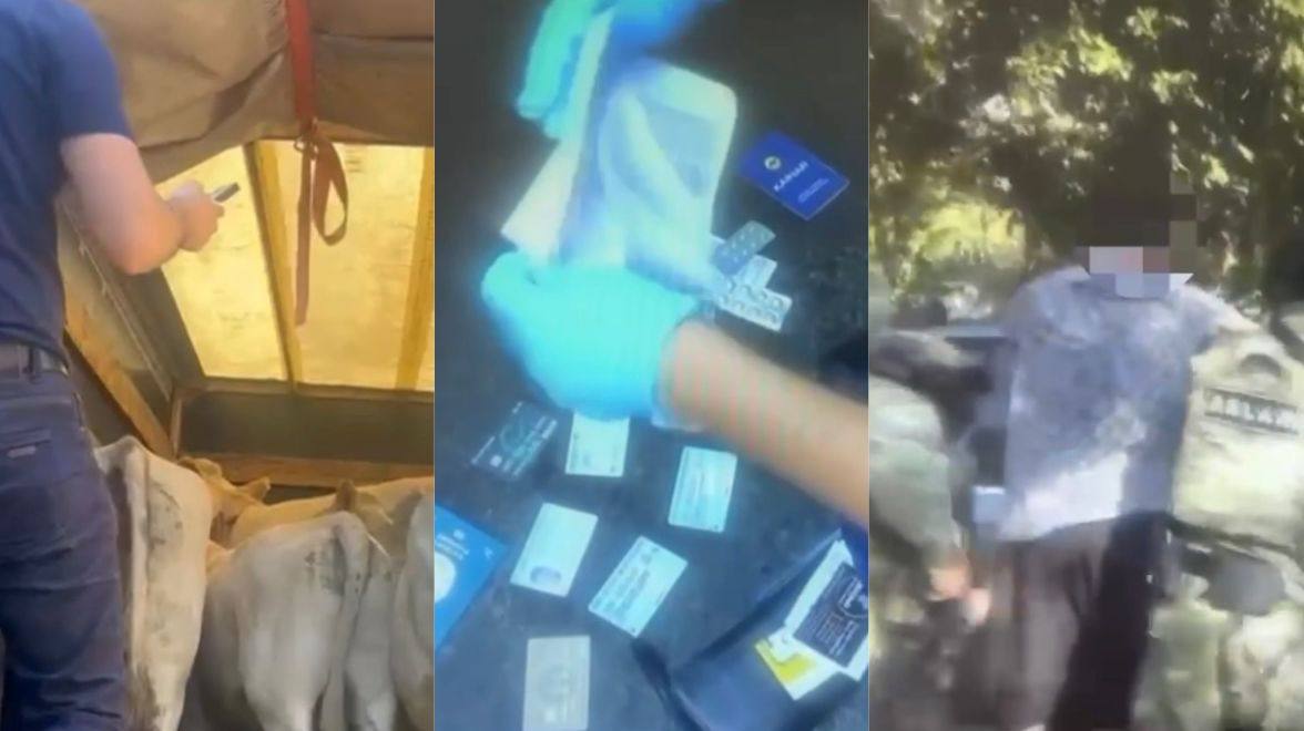 В Жетысу раскрыта кража скота на сумму более 9 миллионов тенге, преступники задержаны.