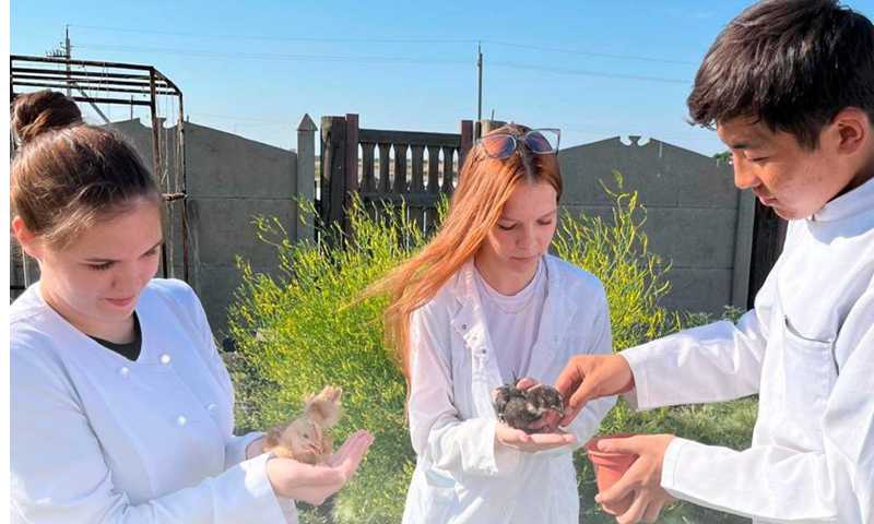 Студенты Павлодара разводят редкие виды птиц