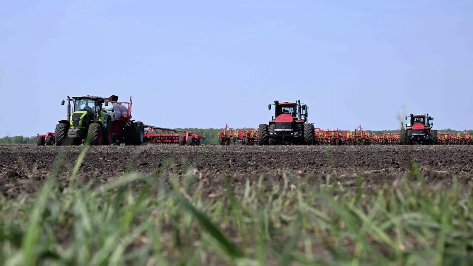 Аграрии засеяли 13 млн гектаров пшеницы.