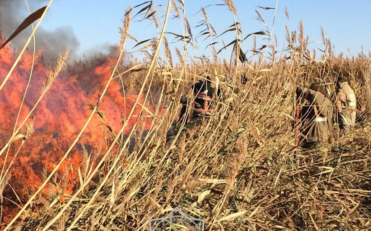 Возможно, на пожар в природном резервате «Акжайык» повлиял человеческий фактор.