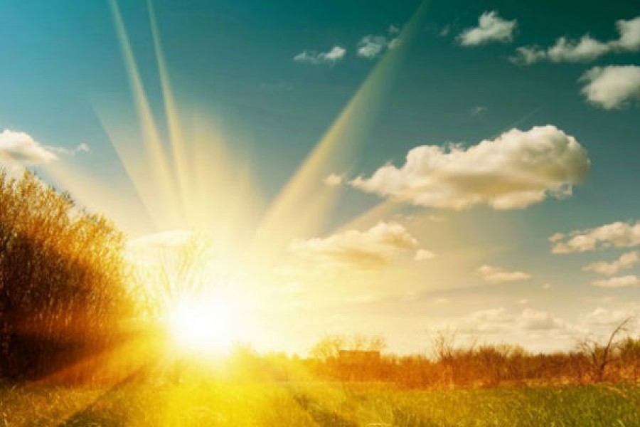 До +46 градусов: какой будет погода в Казахстане сегодня?