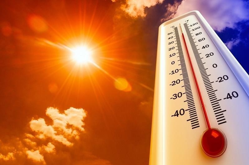 Сегодня в Туркестанской области будет жарко до +46°C