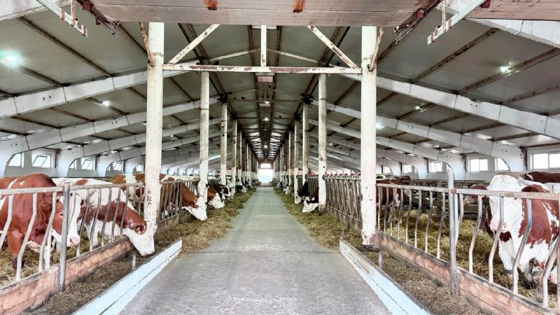 В Казахстане запускается льготное кредитование для фермеров