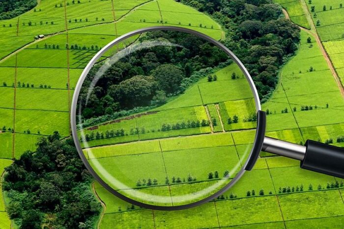 В Жетысускую область возвращены земли в государственную собственность на сумму 100 млн тенге.