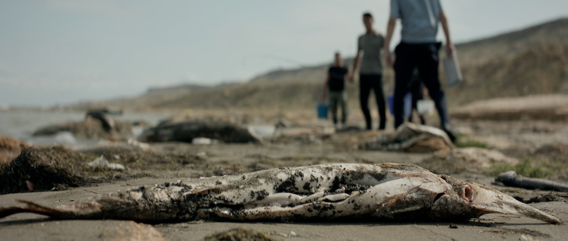 В Актау снимается эко-драма под названием «Черный осетр».