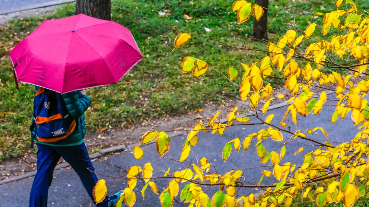 На большей части территории страны ожидаются грозы и дожди — Казгидромет