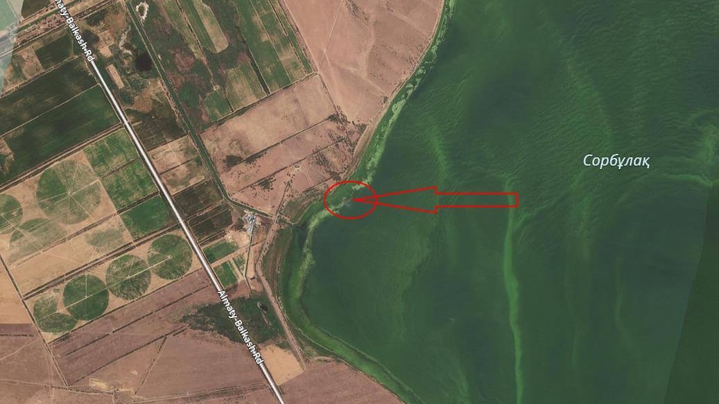 Вертолетная авария в Сорбулаке: 50% водохранилища проверено