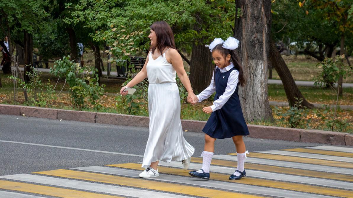 МВД предлагает ввести уроки по правилам дорожного движения в школьную программу как отдельный обязательный предмет.