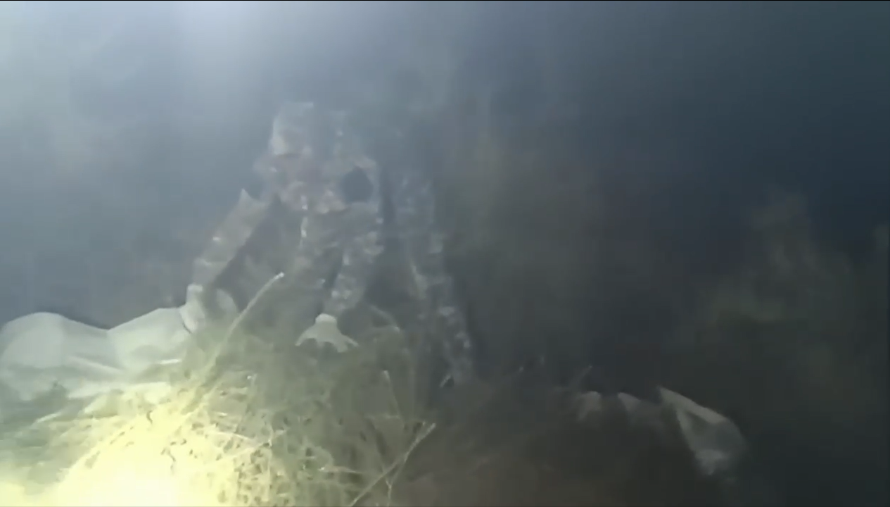 В Жамбылской области изъято более 200 кг марихуаны: задержаны двое местных жителей