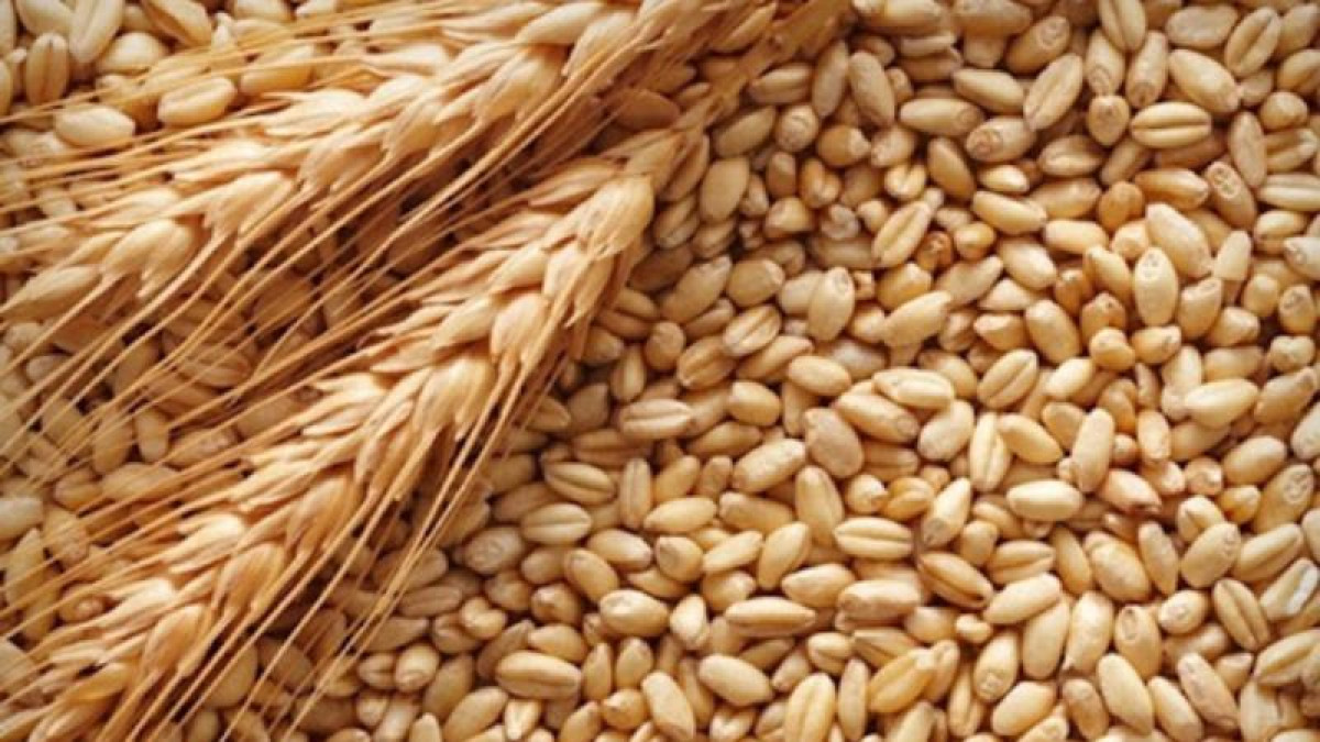 Казахстан расширяет географию экспорта зерна