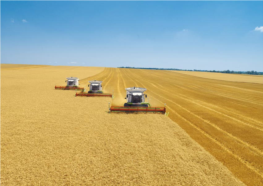 В первом десятилетии августа в стране собрано 1,2 млн тонн зерна.