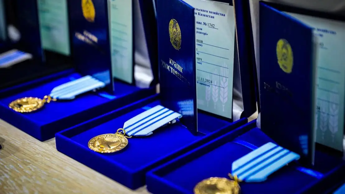 Президент наградил спортсменов, показавших лучшие результаты на чемпионате мира.