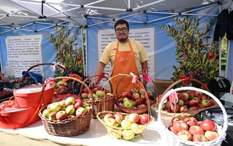 Alma Fest 2025 аясында 130 тоннадан астам алма сатылды
