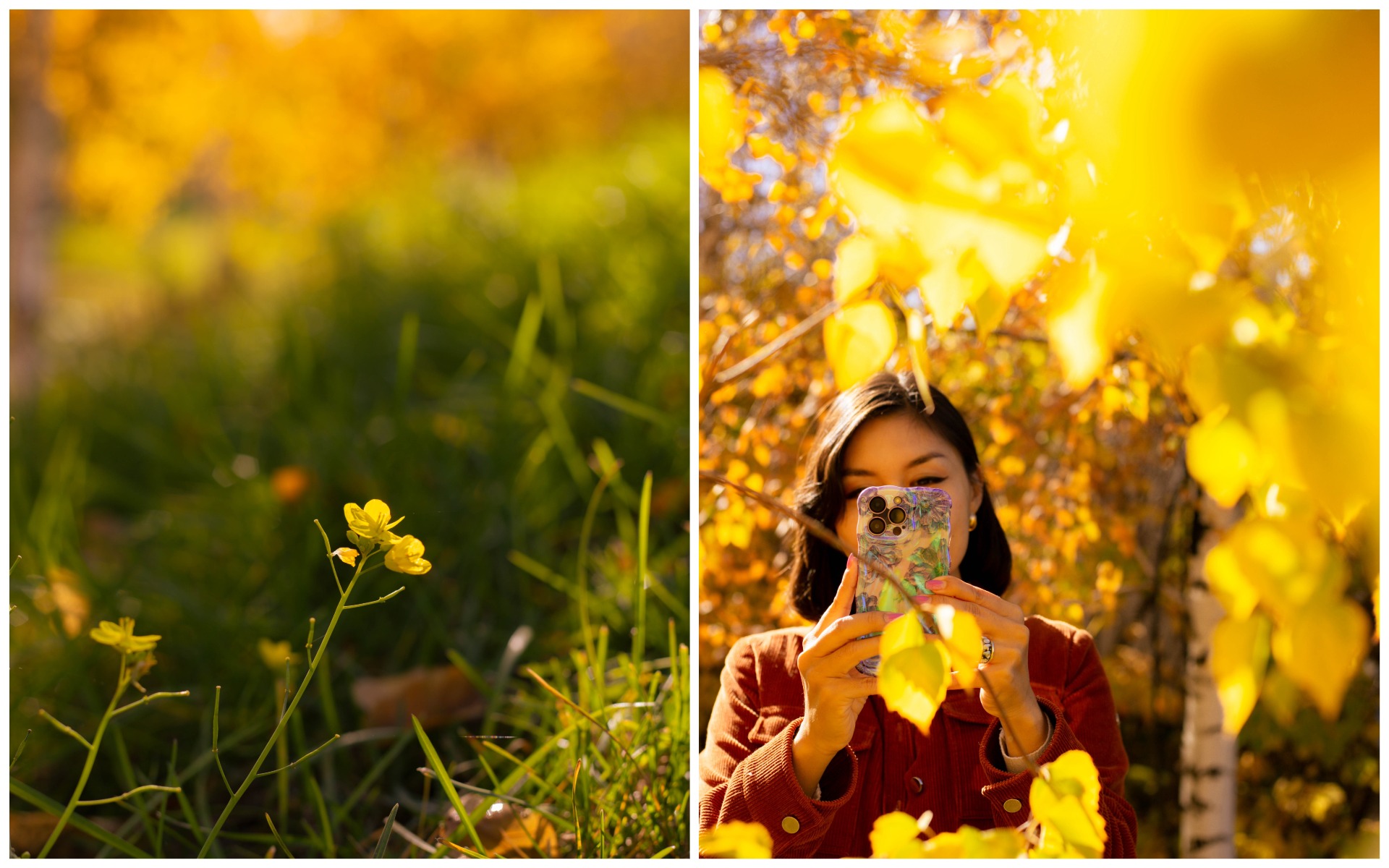 Польза прогулки на природе