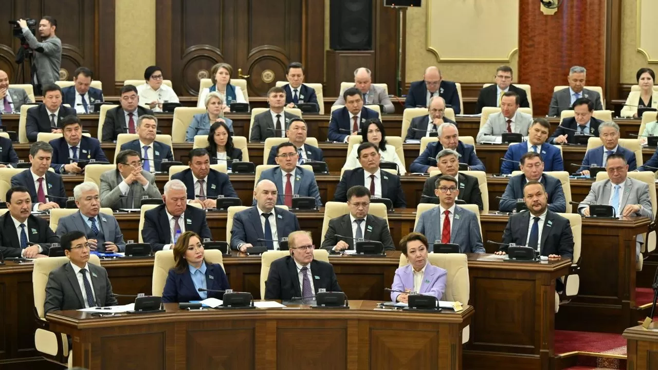 «Я не видел такого страдающего народа» — какие вопросы депутаты, посетившие регион, поднимут в парламенте?