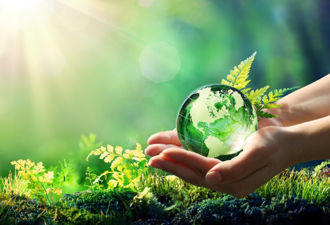 Касым-Жомарт Токаев предложил учредить Международный день озеленения Земли