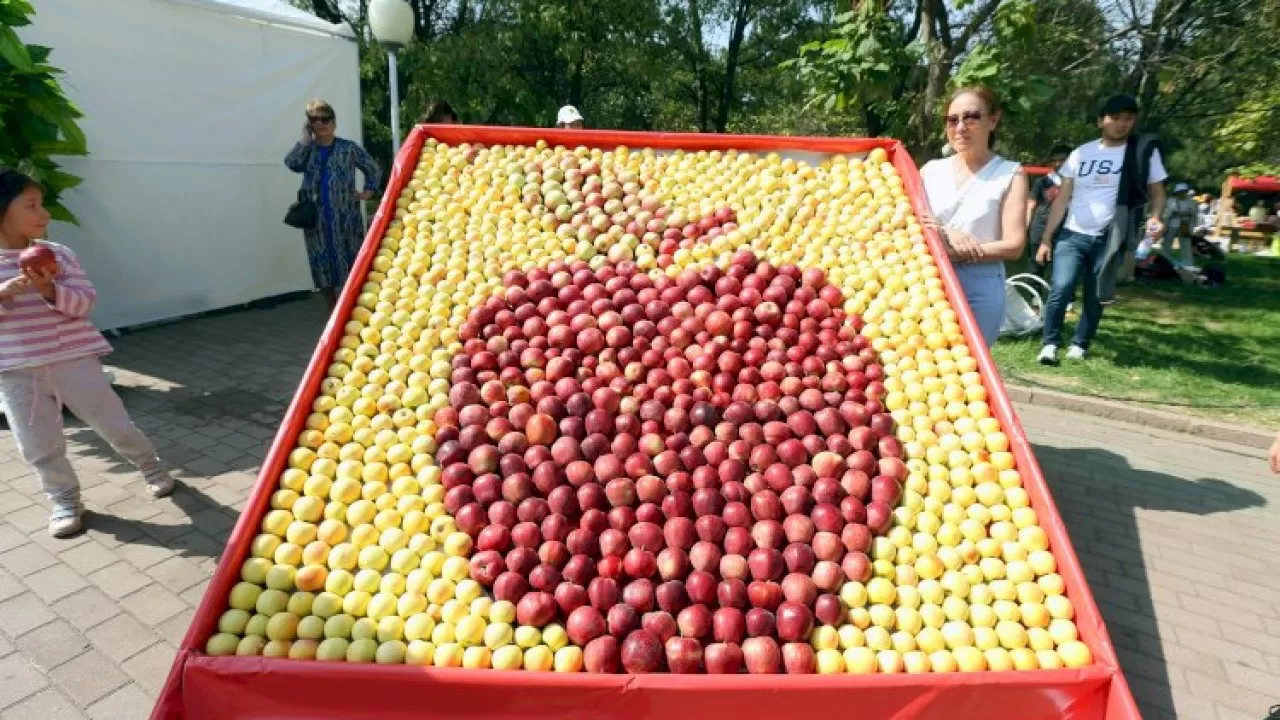 Alma Fest: В Алматы к Дню города доставят 100 тонн яблок