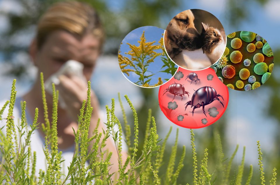 Как защититься от осенней аллергии?