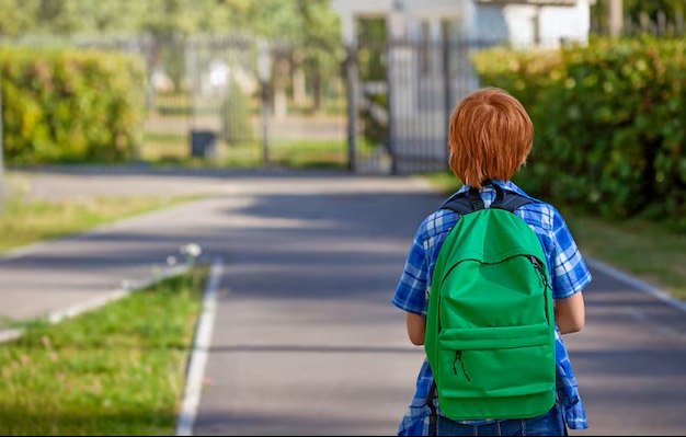 Министерство здравоохранения: вес школьного портфеля влияет на здоровье ребенка