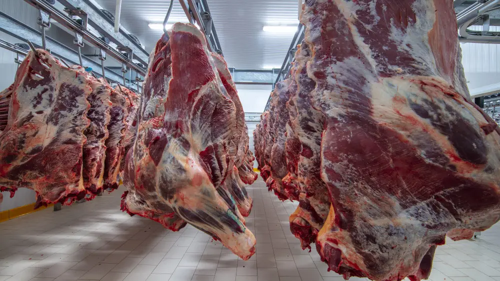 В Казахстане открыта горячая линия по говядине