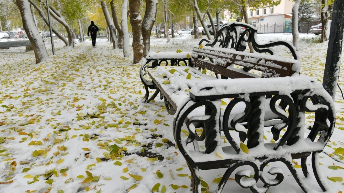 На севере Казахстана выпал первый снег, похолодает.