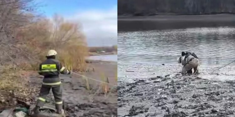 Спасатели МЧС спасли ребенка, застрявшего в грязи в Уральске